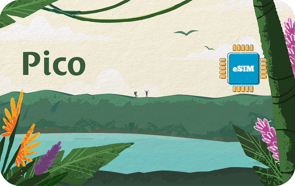 pico-30days-3gb