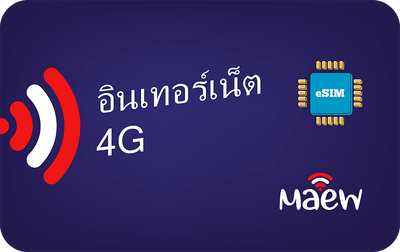 eSIM Card View